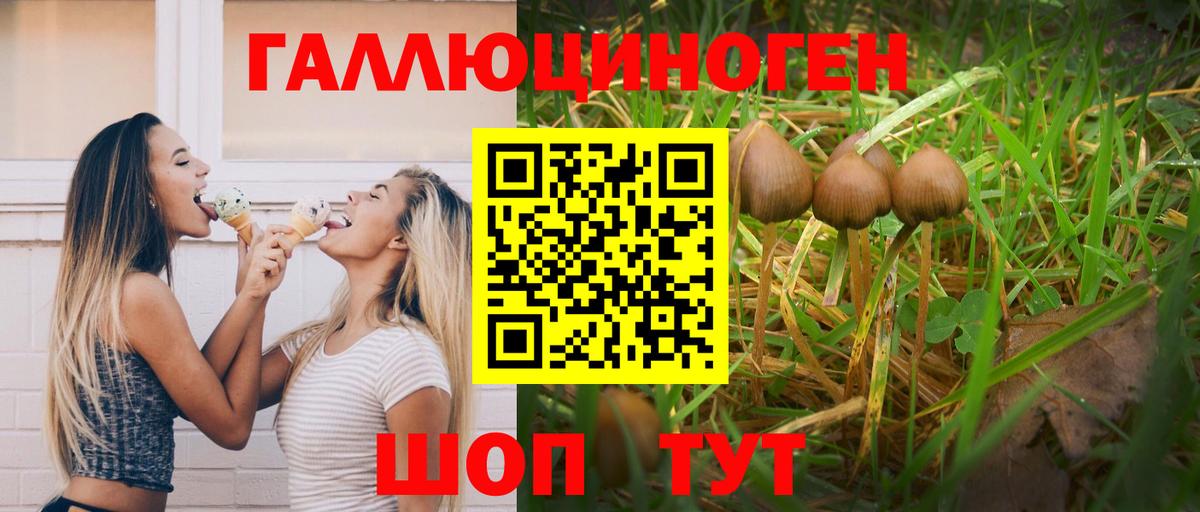 Галлюциногенные грибы Magic Shrooms Копейск
